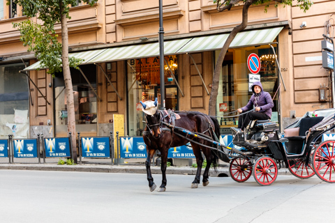 A horse wearing a cowboy hat pulls a carriage through the streets of Palermo, Sicily, as the driver sits behind in a traditional carriage.