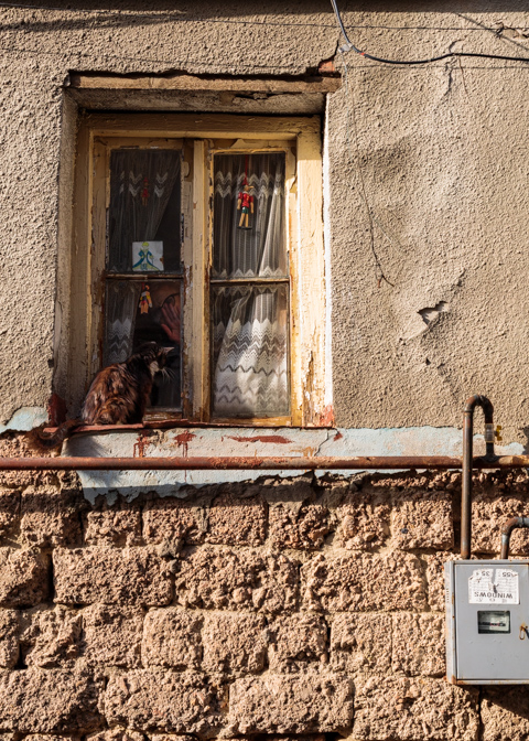 A cat rests on a window sill of a weathered building in Tbilisi, Georgia, while a woman waves from behind lace curtains inside.