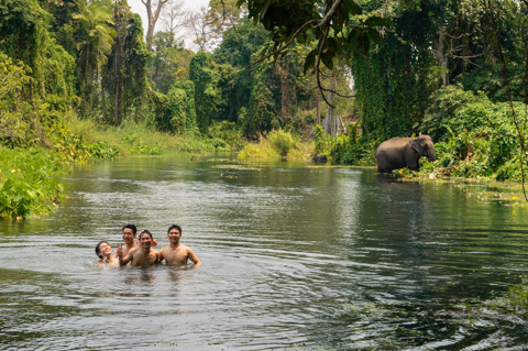 Local youths swim in a calm jungle river near Huế, Vietnam, while an Asian elephant feeds along the riverbank amid dense tropical vegetation.