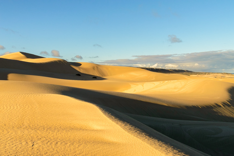 Wind-shaped sand dunes roll across the Nullarbor landscape, their ridges catching low-angle sunlight and casting long shadows near the southern coast.