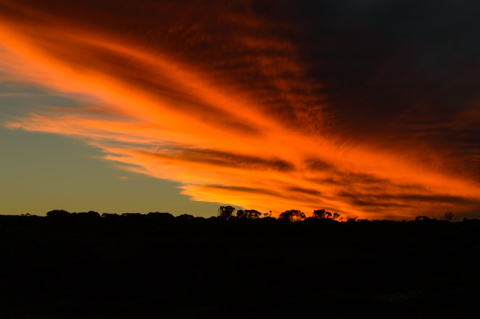 A dramatic orange cloud band stretches across the sky above a dark coastal treeline at sunset, silhouetting the landscape near Port Lincoln.