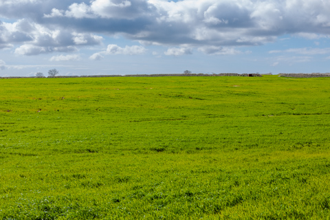 A wide expanse of bright green pasture stretches across the countryside near Ragusa, Sicily, under a sky filled with layered clouds.