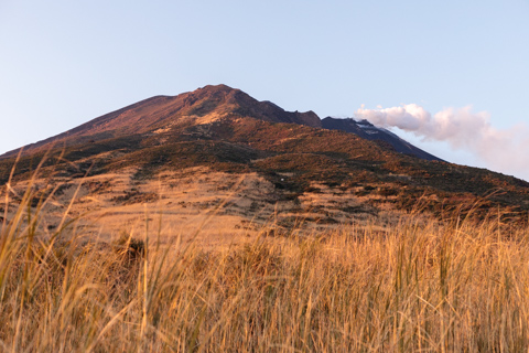 Golden grasses fill the foreground as Stromboli Volcano rises in the distance at sunrise, its slopes lit by early morning light under a pale sky.