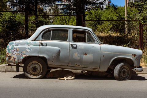 Two street dogs rest beneath an abandoned, rusted car parked along a roadside in Tbilisi, Georgia, using the shade beneath the vehicle to escape the sun.