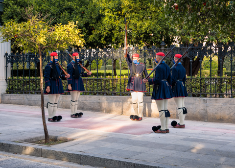 Evzones guards in traditional uniform perform the changing of the guard ceremony in Athens, Greece, standing in formation outside a fenced ceremonial area.