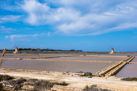 Rectangular salt evaporation ponds stretch across the coastal flats near Marsala, Sicily, with low stone walls, windmills, and shallow water reflecting the sky at the Saline Genna salt pans.