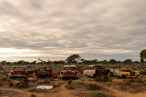 A row of rusted, abandoned cars sits scattered across the arid landscape at Koonalda Homestead on the Nullarbor Plain in South Australia under an overcast sky.