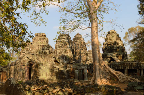 Tree roots wrap around the stone towers of a Khmer temple at Angkor Archaeological Park in Cambodia, as jungle vegetation slowly reclaims the ancient ruins.