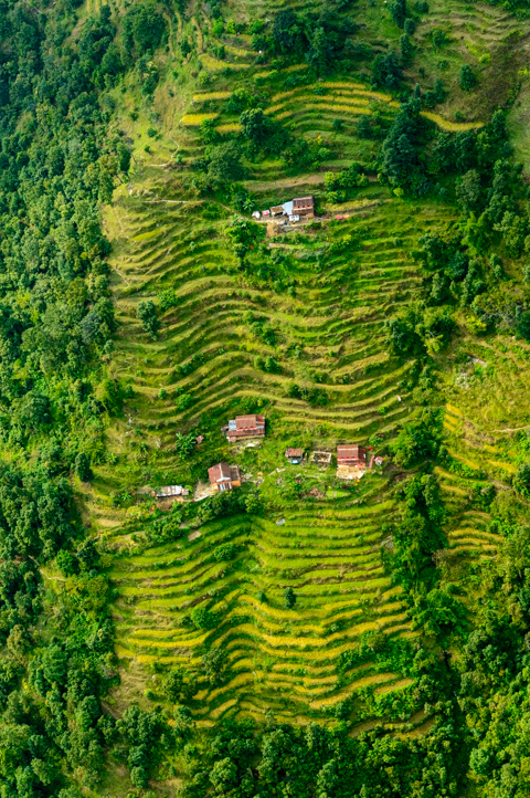 An aerial view of stepped rice terraces near Pokhara, Nepal, where small houses are scattered among green hillsides shaped by generations of hillside farming.