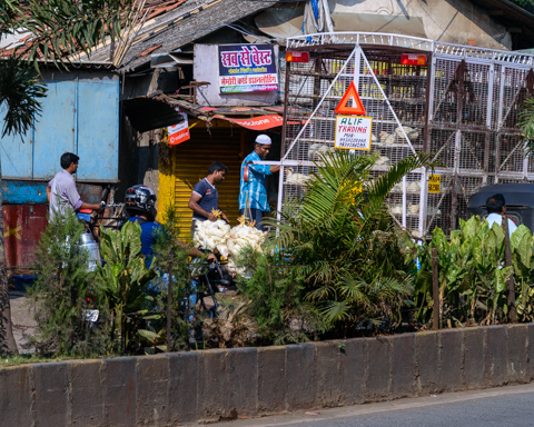 Men gather around a truck selling live chickens on a busy street in Mumbai, India, with cages and poultry visible among roadside plants and shops.
